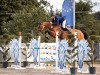 jumper Carlo (German Sport Horse, 2017, from Camargo 2)