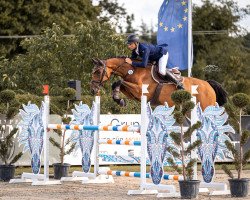 jumper Carlo (German Sport Horse, 2017, from Camargo 2)