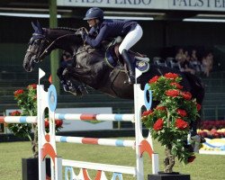 Springpferd Nikita van het Geinsteinde (Belgisches Warmblut, 2013, von Elvis Ter Putte)