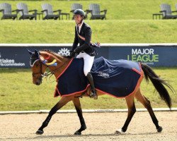 jumper Ona van de Helle (Belgian Warmblood, 2014, from Carlow van de Helle)