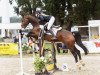 jumper Out of The Blue 5 (Hanoverian, 2018, from Ogano)