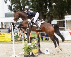 jumper Out of The Blue 5 (Hanoverian, 2018, from Ogano)