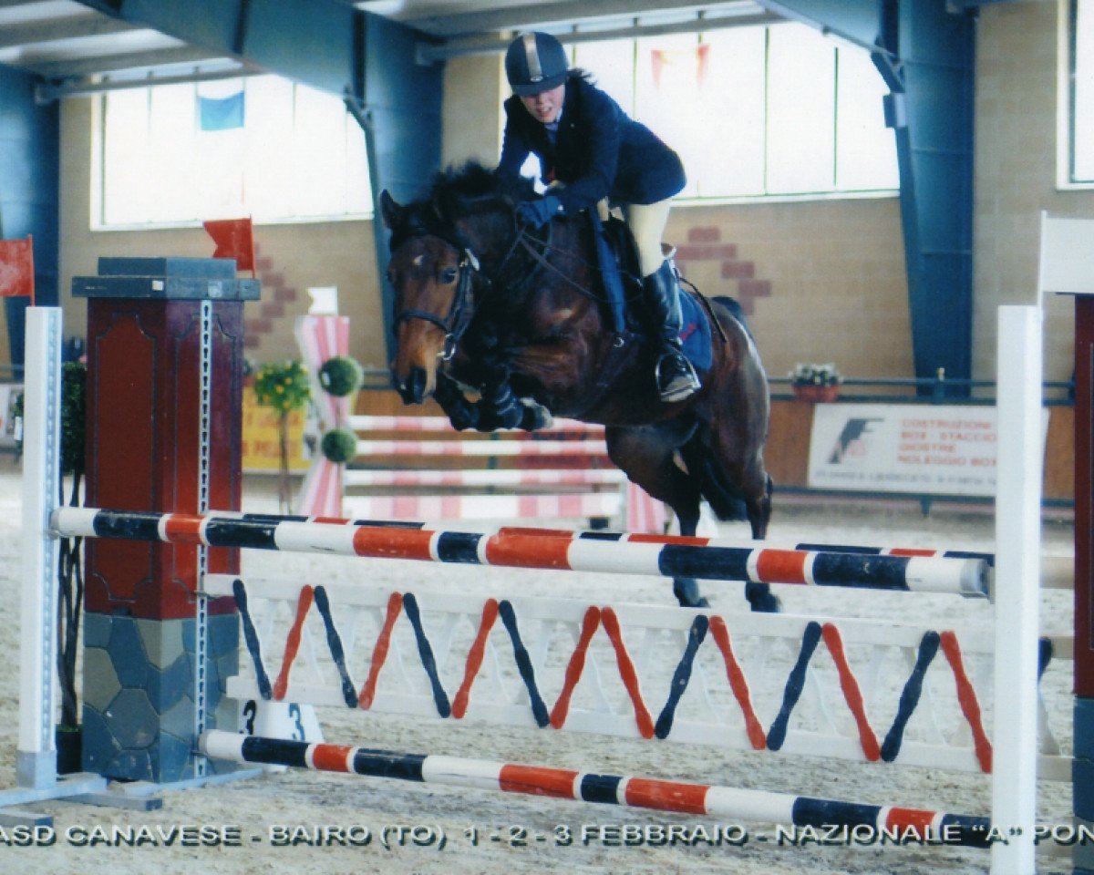 broodmare Paprika du Bary (French Pony, 2003, from Karisto de l'Aumont)