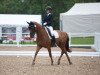 dressage horse Ryhannah (Hanoverian, 2004, from Relevant)