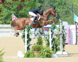 jumper Bukato (KWPN (Royal Dutch Sporthorse), 2006, from Ukato)