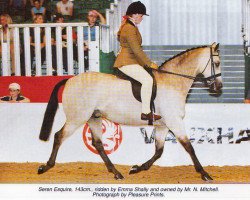 Pferd Seren Esquire (British Riding Pony, 1992, von Cusop Fingerprint)