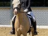 dressage horse Daily Darling L (German Riding Pony, 2015, from Darubi Gold)