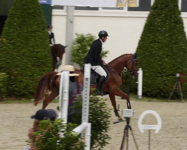Reitturnier St.Wendel, Gestüt Welvert 2023