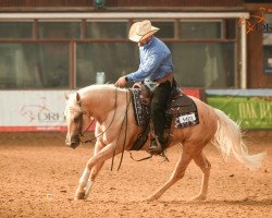 Pferd Voodoo The Rest (Quarter Horse, 2017)