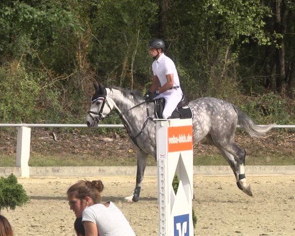 Reitturnier Forst 2021