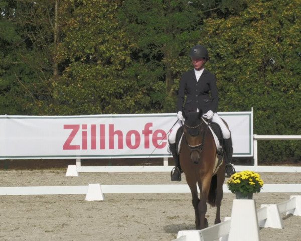 Reitturnier Zillhofen/Obb. 2023