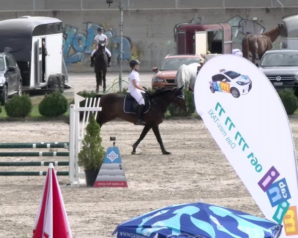 Reitturnier Basel Schänzli 2021