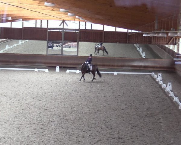 Dressurturnier mit Hallenchampionat Tremsdorf, Eichenhof 2021