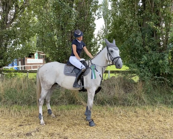 dressage horse Havanna de Luxe (Trakehner, 2018, from Magistral AA)