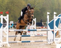 broodmare Dana Im Glück C (German Riding Pony, 2016, from Del Estero NRW)