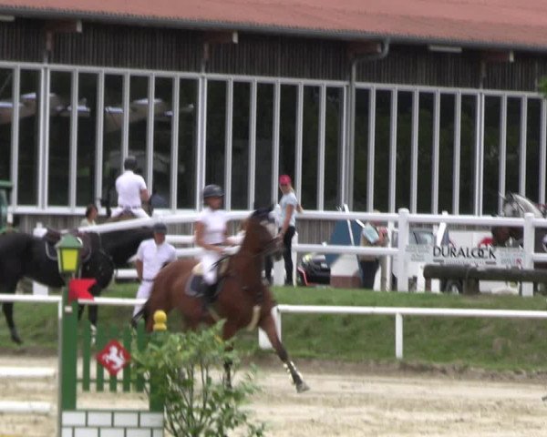 Reitturnier Werne 2023