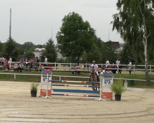 Reitturnier Werne 2023