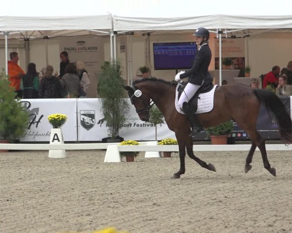 Reitturnier Solingen 2023
