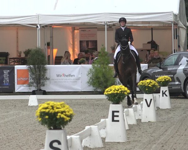 Reitturnier Solingen 2023