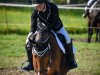 dressage horse Chester de Luxe (German Riding Pony, 2011, from FS Cover Boy)