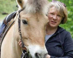 horse Ben (Fjord Horse, 1992, from Blitzi Ha 1050)