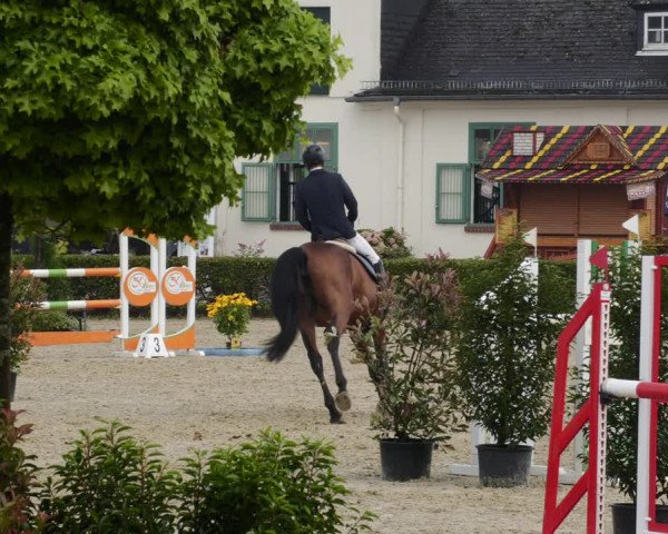 Reitturnier St.Wendel, Gestüt Welvert 2023