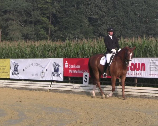 Reitturnier Ostbevern 2023
