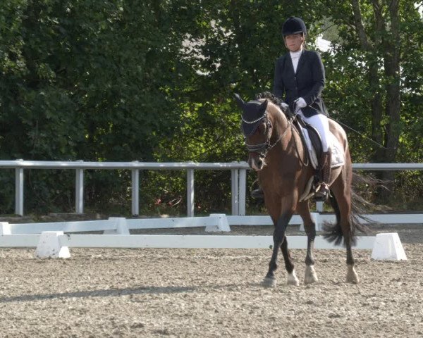 Reitturnier Zillhofen/Obb. 2023