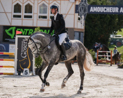 stallion Corracini RS (Holsteiner, 2018, from Corrinaro)