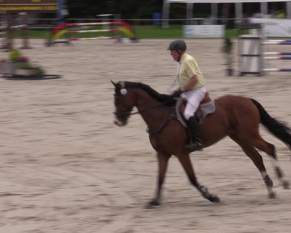 Reitturnier Pietzpuhl 2023