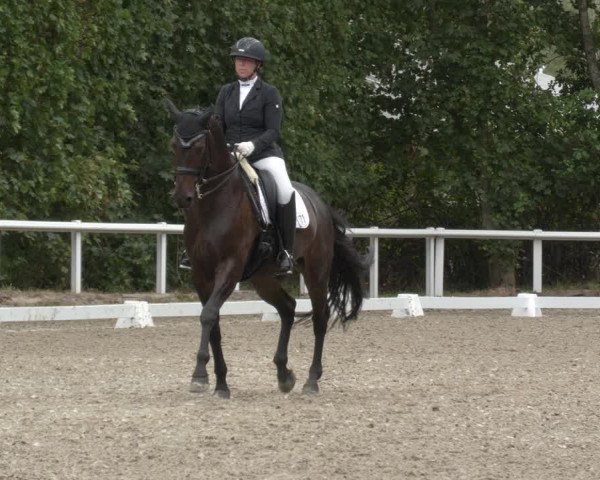 Reitturnier Zillhofen/Obb. 2023
