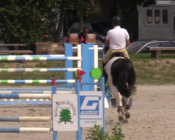 Reitturnier Pietzpuhl 2023