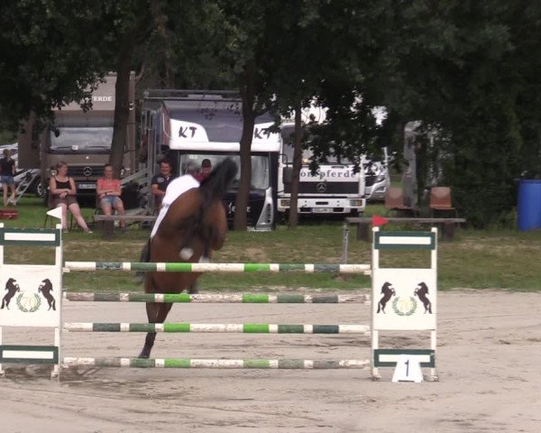 Reitturnier Pietzpuhl 2023