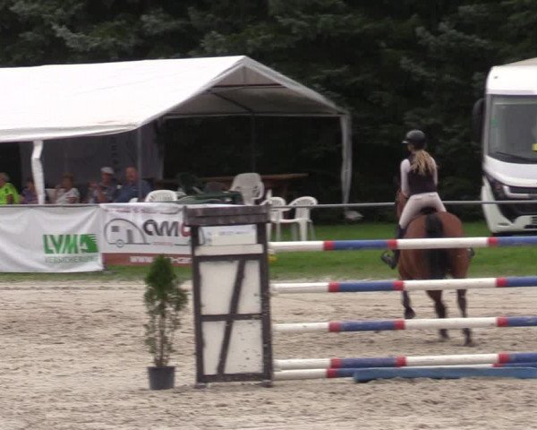 Reitturnier Pietzpuhl 2023