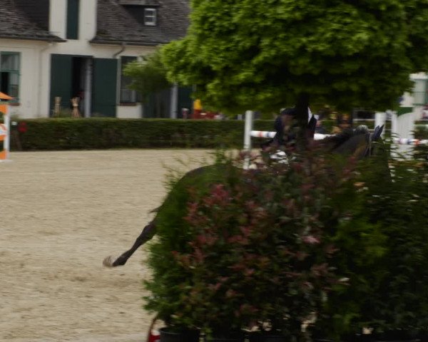 Reitturnier St.Wendel, Gestüt Welvert 2023