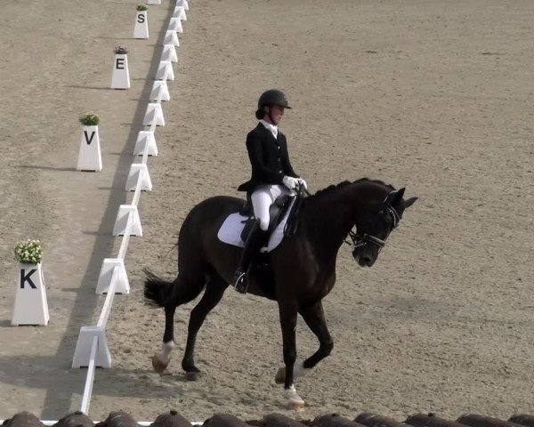 Reitturnier Bülach 2023