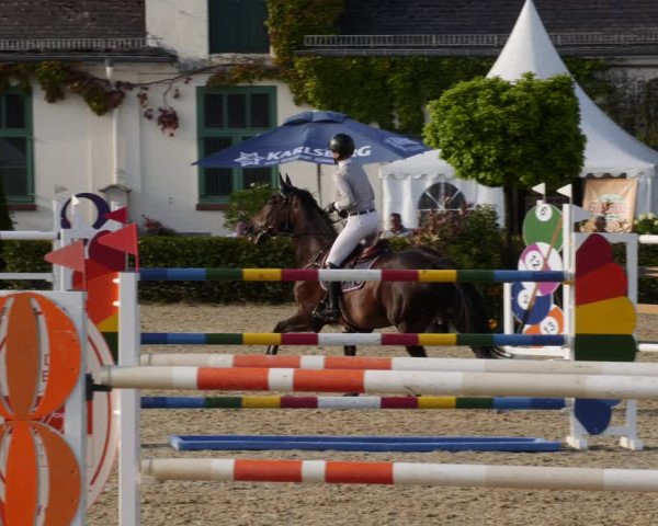 Reitturnier St.Wendel, Gestüt Welvert 2023