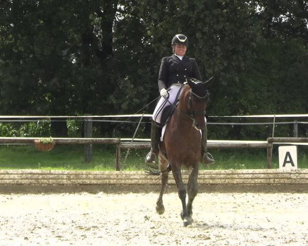 Reitturnier Ostbevern 2023
