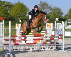 jumper Choco Meniljean (French Pony, 2012, from Tricky Choice du Pena)