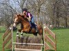 jumper Lord L (German Riding Pony, 2007, from Le Matsjo)