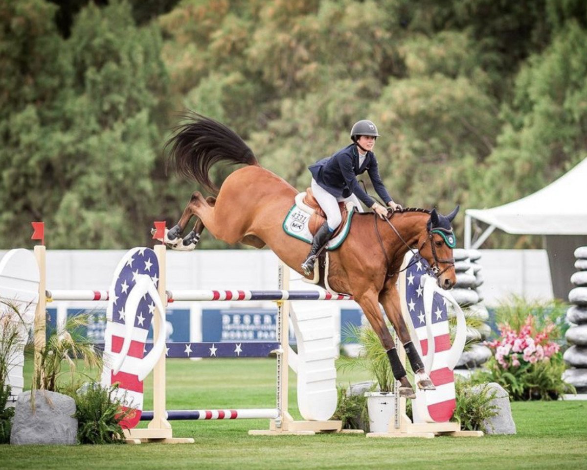 Springpferd Marquis Le Beau Courally (Belgisches Warmblut, 2012, von Cabrio van de Heffinck)
