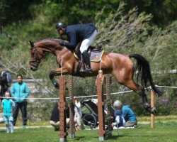 broodmare Jayanti (German Sport Horse, 2014, from I'm Special de Muze)