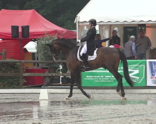 Reitturnier Solingen 2023
