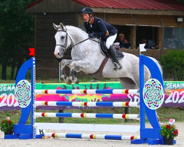 Springpferd Galilea del Colle (Selle Français, 2016, von President)