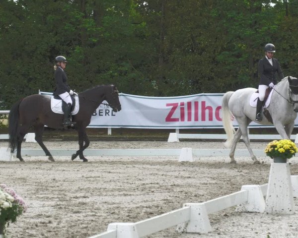 Reitturnier Zillhofen/Obb. 2023