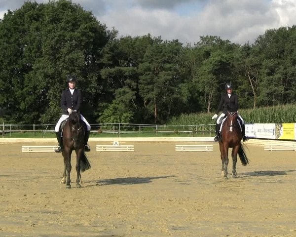 Reitturnier Ostbevern 2023