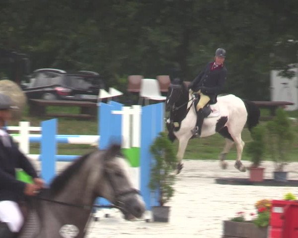 Reitturnier Pietzpuhl 2023