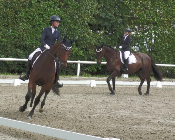 Reitturnier Zillhofen/Obb. 2023