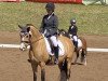 dressage horse Cute Miss Molly (German Riding Pony, 2013, from FS Champion de Luxe)