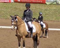 dressage horse Cute Miss Molly (German Riding Pony, 2013, from FS Champion de Luxe)